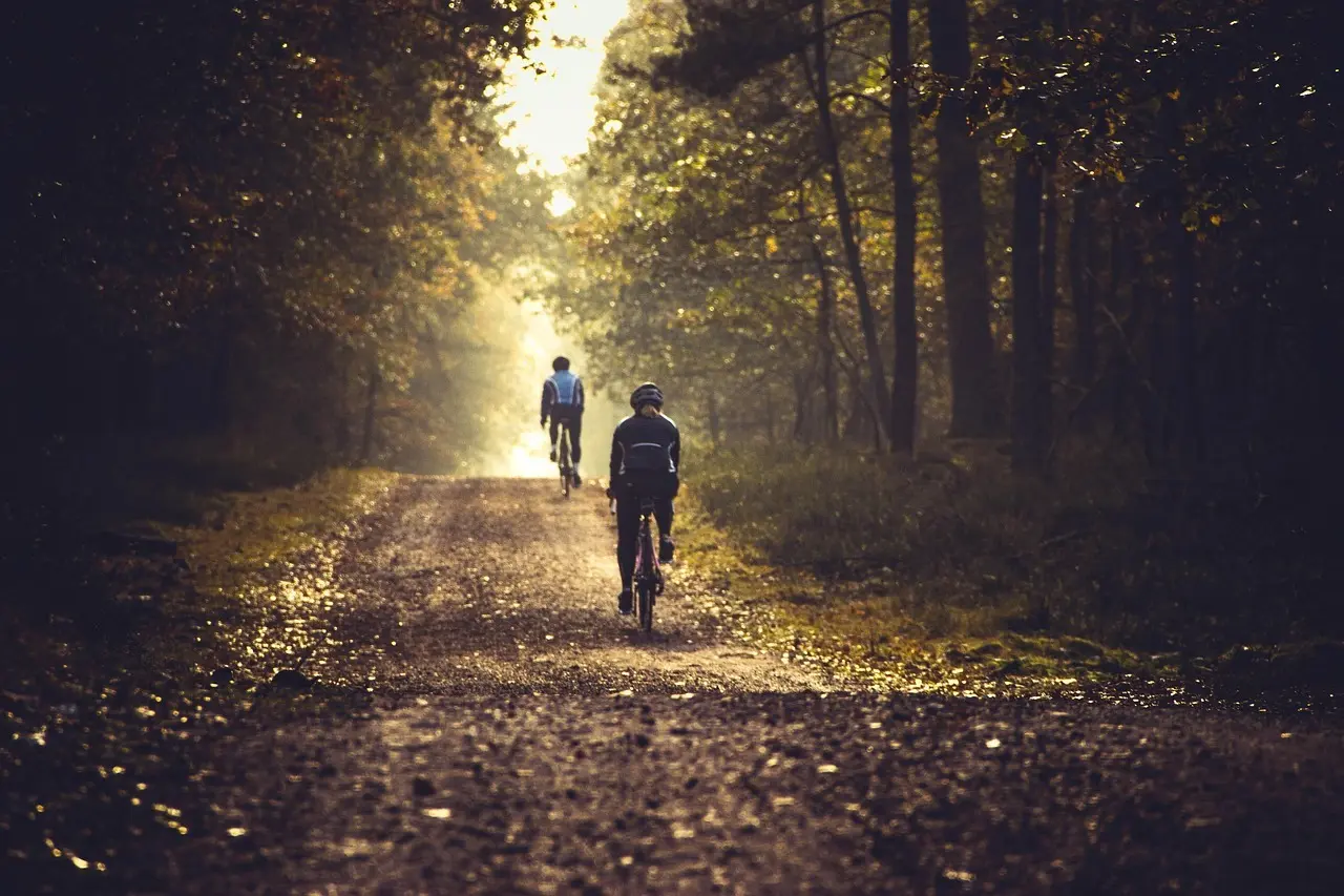 To cyklister på skovsti